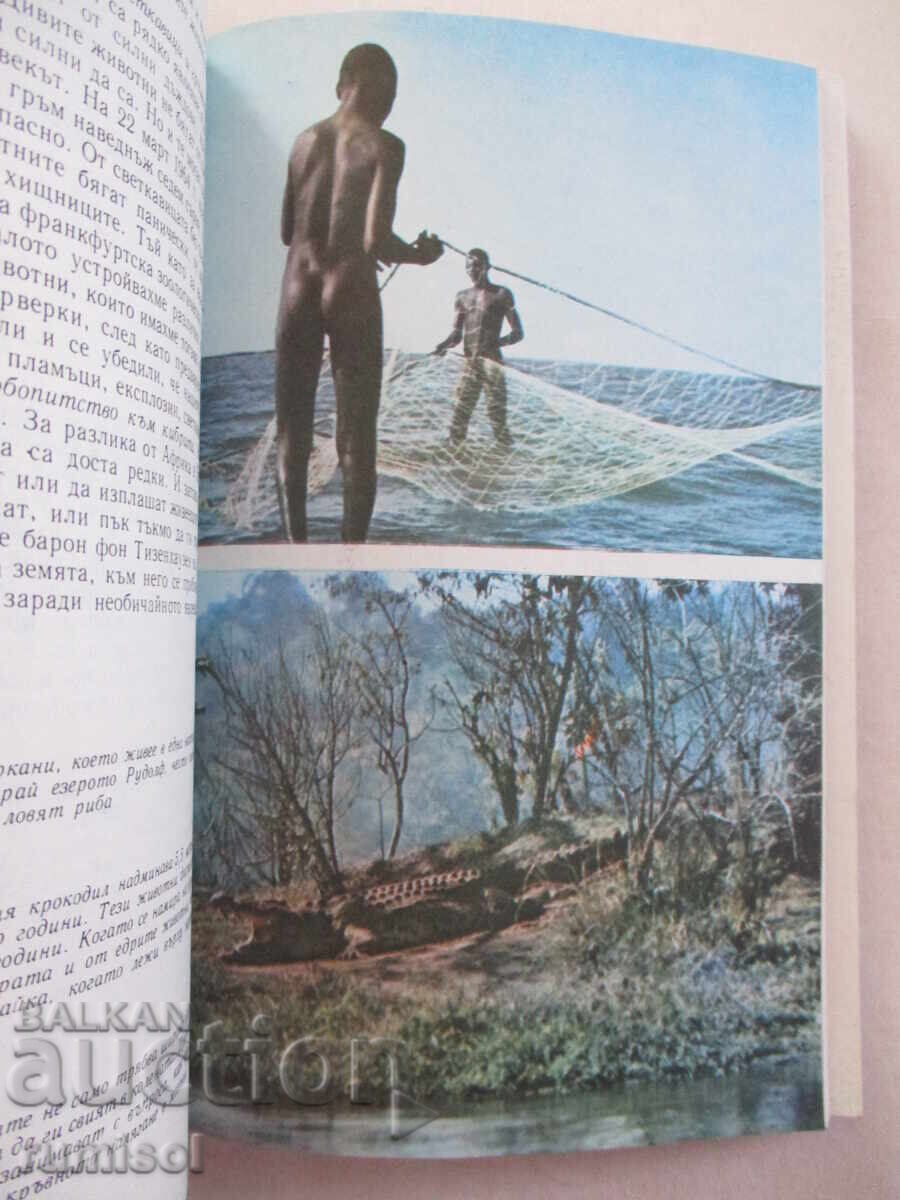 Delivery of Among the animals of Africa - Bernhard Gjimek Delivery of Among the animals of Africa - Bernhard Gjimek