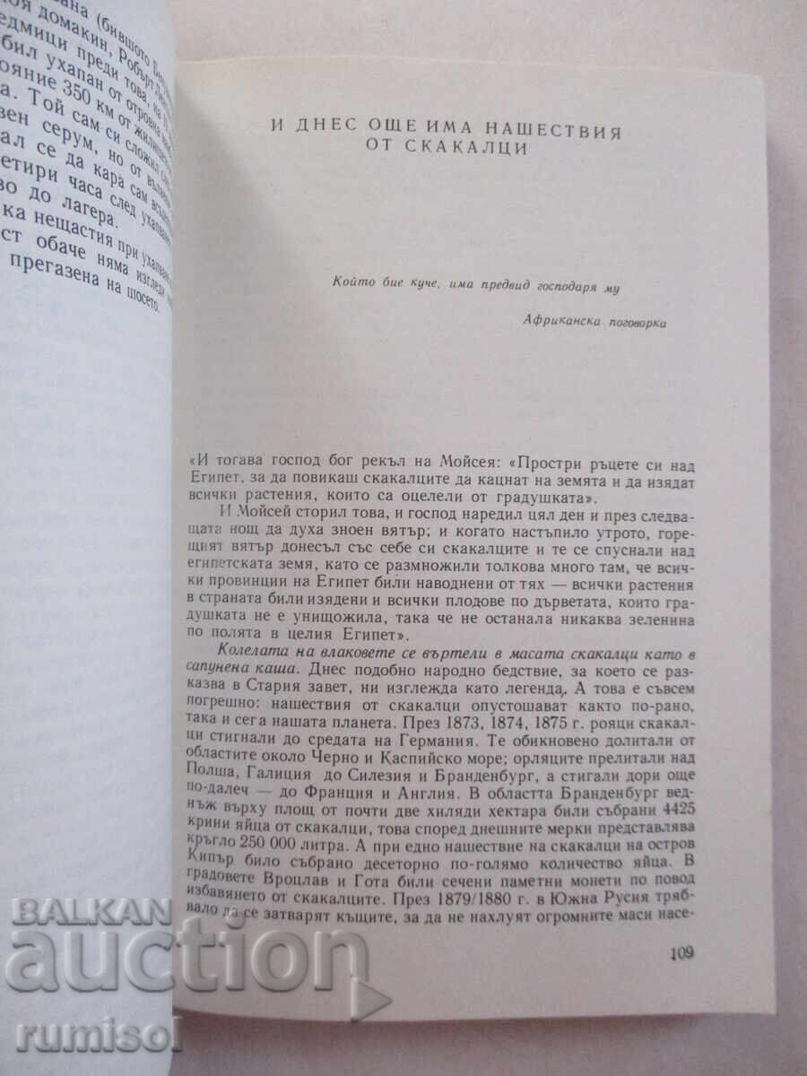 Among the animals of Africa - Bernhard Gjimek - 5 Among the animals of Africa - Bernhard Gjimek - 5