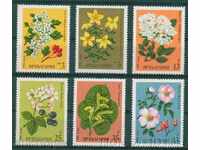 3018 Bulgaria 1981 Medicinal plants. **