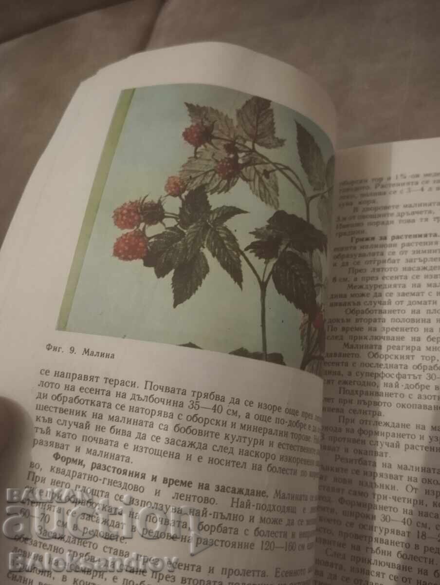 Δημοπρασία Βιβλίο,, προσωπική οικονομία,, Δημοπρασία Βιβλίο,, προσωπική οικονομία,,