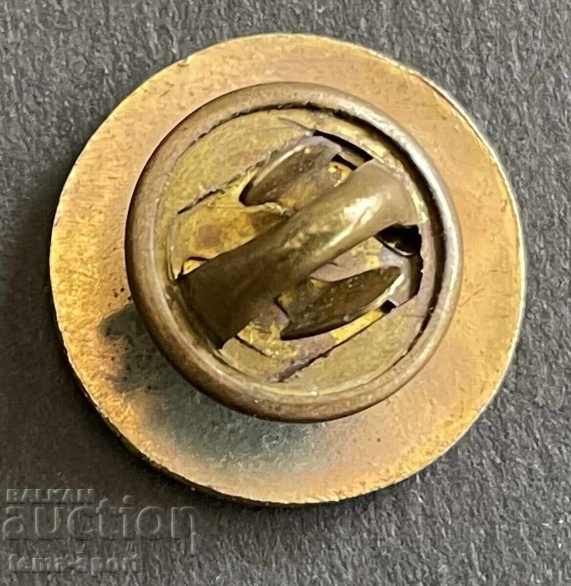 995 South Korean Ice Hockey Association enamel with price 5.00 BGN | € 2.56