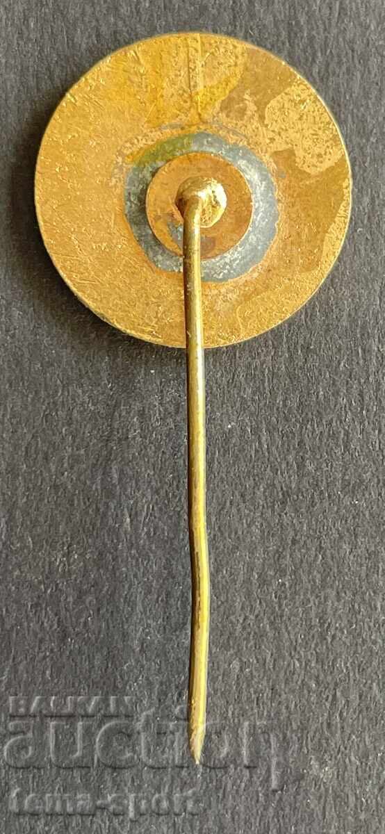 999 Romania ice hockey and figure skating club sign M- with price 4.00 BGN | € 2.05