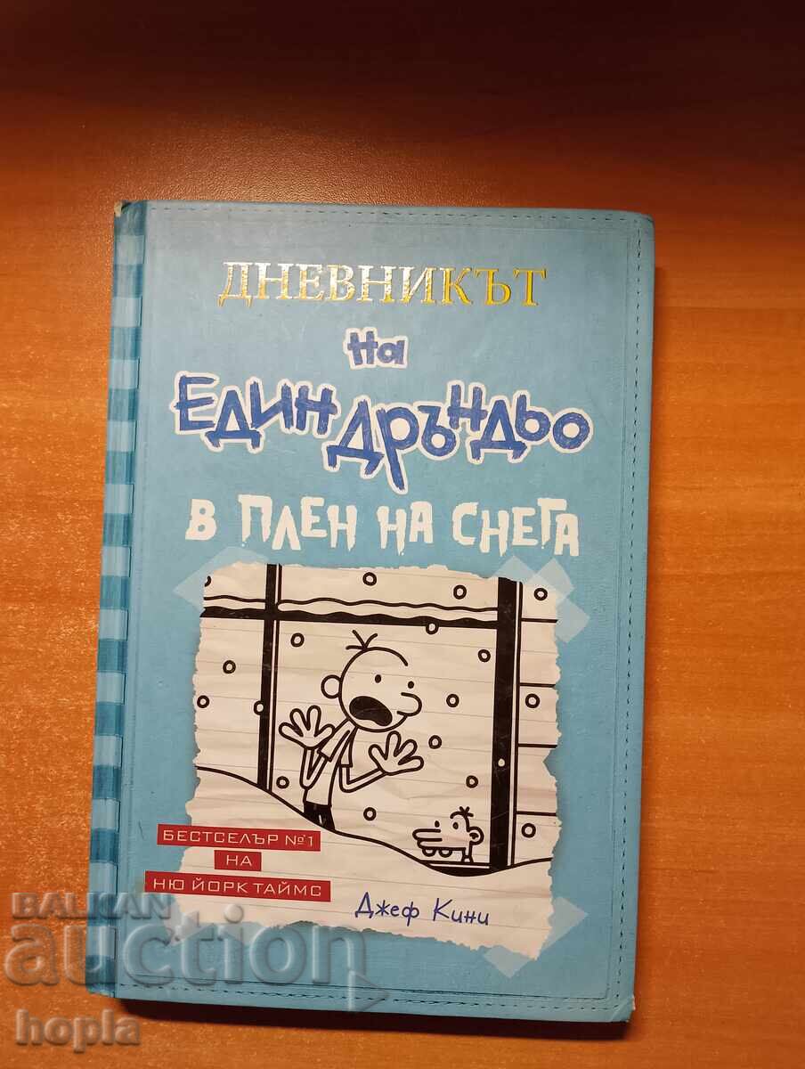 ДНЕВНИКЪТ НА ЕДИН ДРЪНДЬО