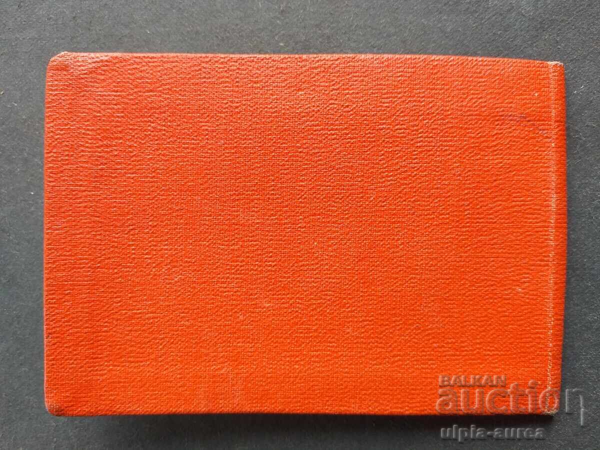 Auction  Social document