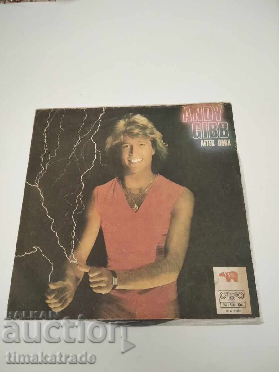 Record VTA 11005 Andy Gibb. After Dark