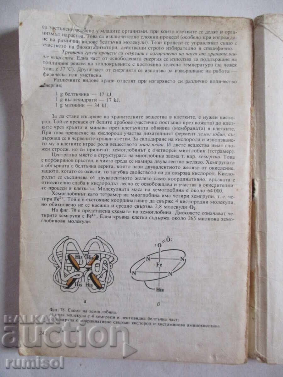 Auction Chemistry - 10th grade - Georgi Bliznakov Auction Chemistry - 10th grade - Georgi Bliznakov