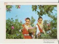 Bulgaria Rose Picking Card 2*