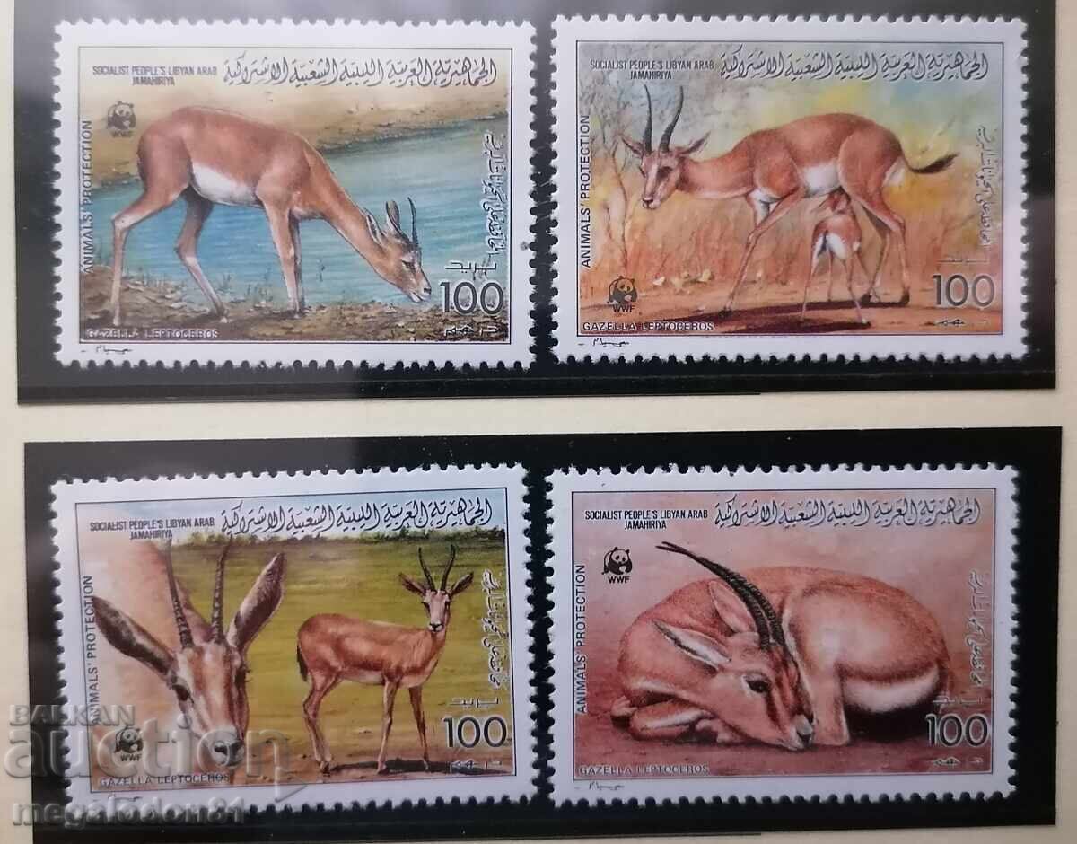 Libia - WWF, gazelă Libia - WWF, gazelă