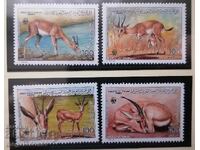 Libya - WWF, gazelle