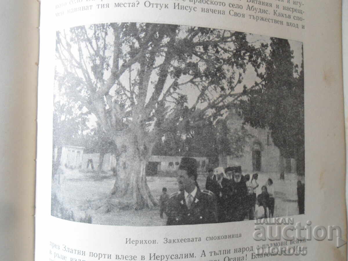 DE LA CORNUL DE AUR LA MORMANTUL LUI DUMNEZEU SI ATON - 6