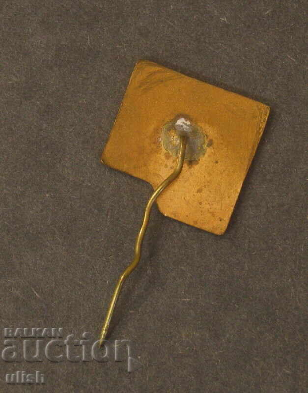 MZHP EIC computing center enamel badge with price 10.00 BGN | € 5.11 MZHP EIC computing center enamel badge with price 10.00 BGN | € 5.11