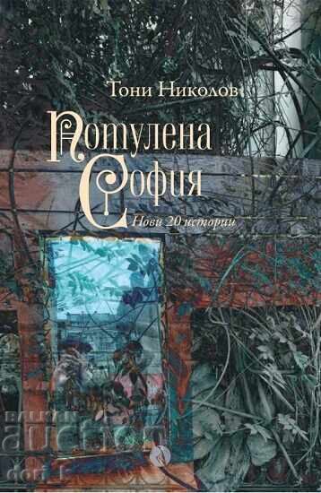 Hidden Sofia + book GIFT Hidden Sofia + book GIFT