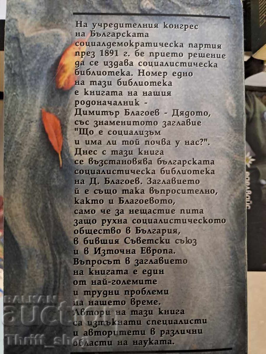 Auction Why real socialism collapsed Auction Why real socialism collapsed