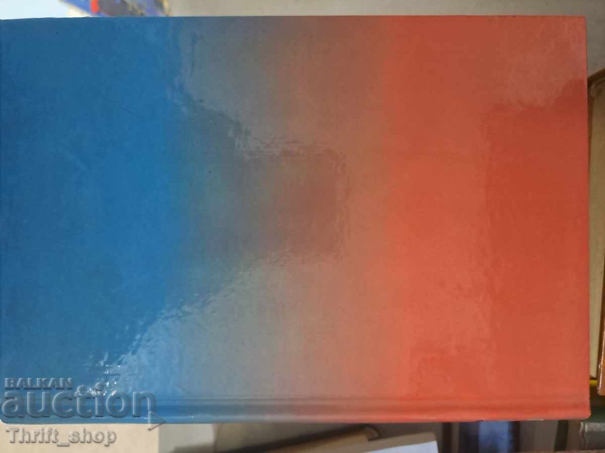 Auction The Great Change 1989-1990 Attempt at a Document Petko Simeonov Auction The Great Change 1989-1990 Attempt at a Document Petko Simeonov