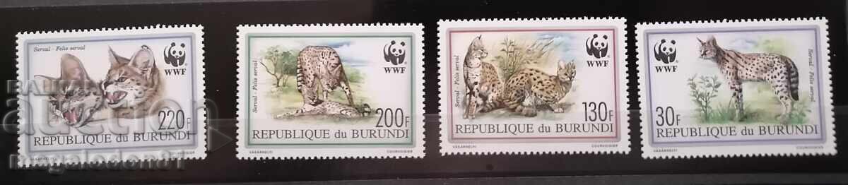 Burundi - fauna WWF, serval