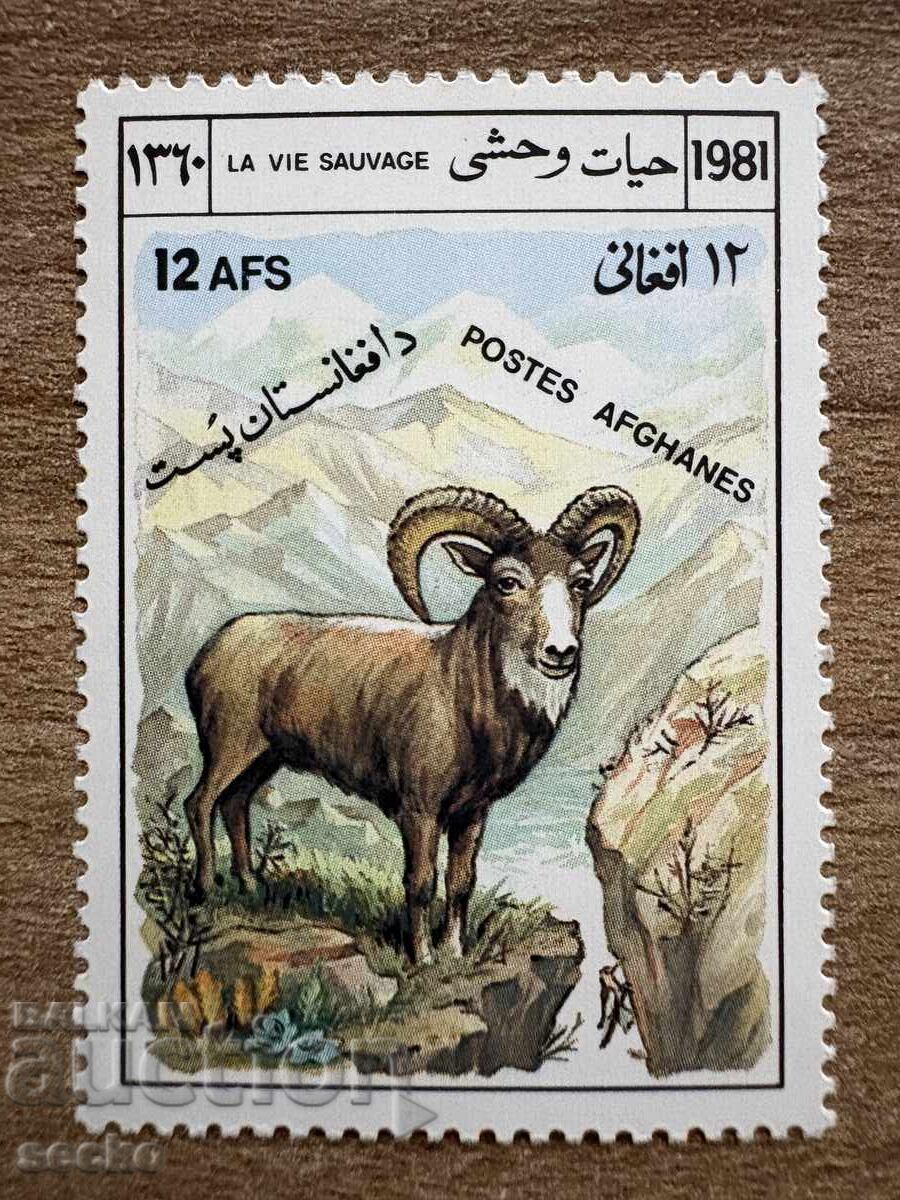 Afganistan - Oaia de munte (1981) MNH