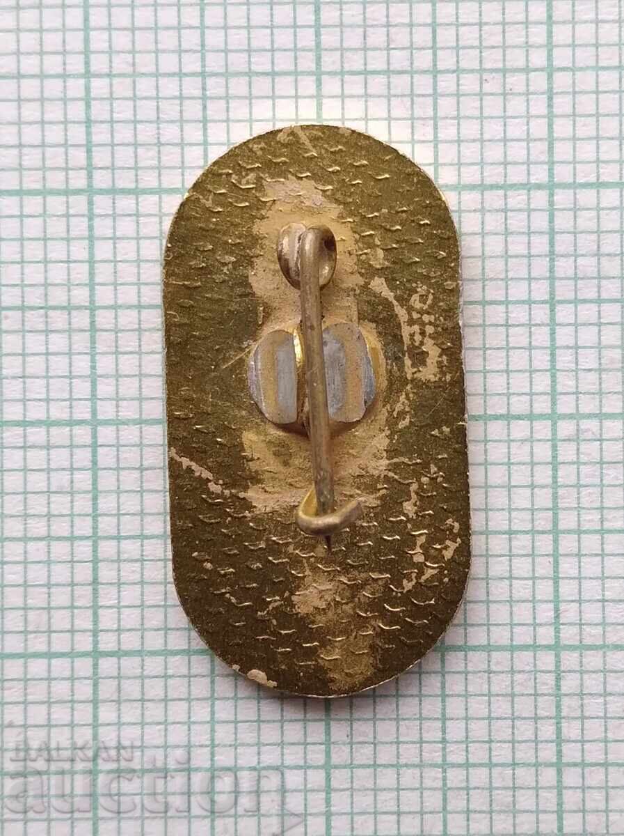 Auction  17238 Badge - 100 years of Kyustendil Hospital 1879 1979