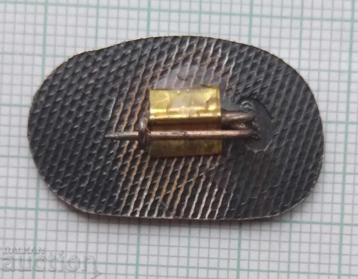 Auction 17243 Badge - Buzludzha Bulgarian Communist Party 1891 Auction 17243 Badge - Buzludzha Bulgarian Communist Party 1891