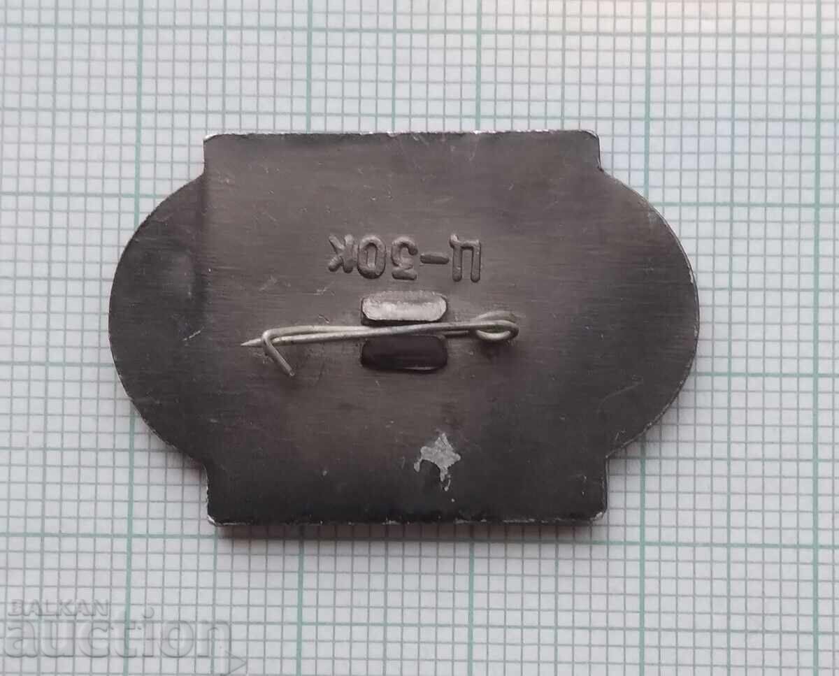 Auction 17245 Badge - Alexander Pushkin Auction 17245 Badge - Alexander Pushkin