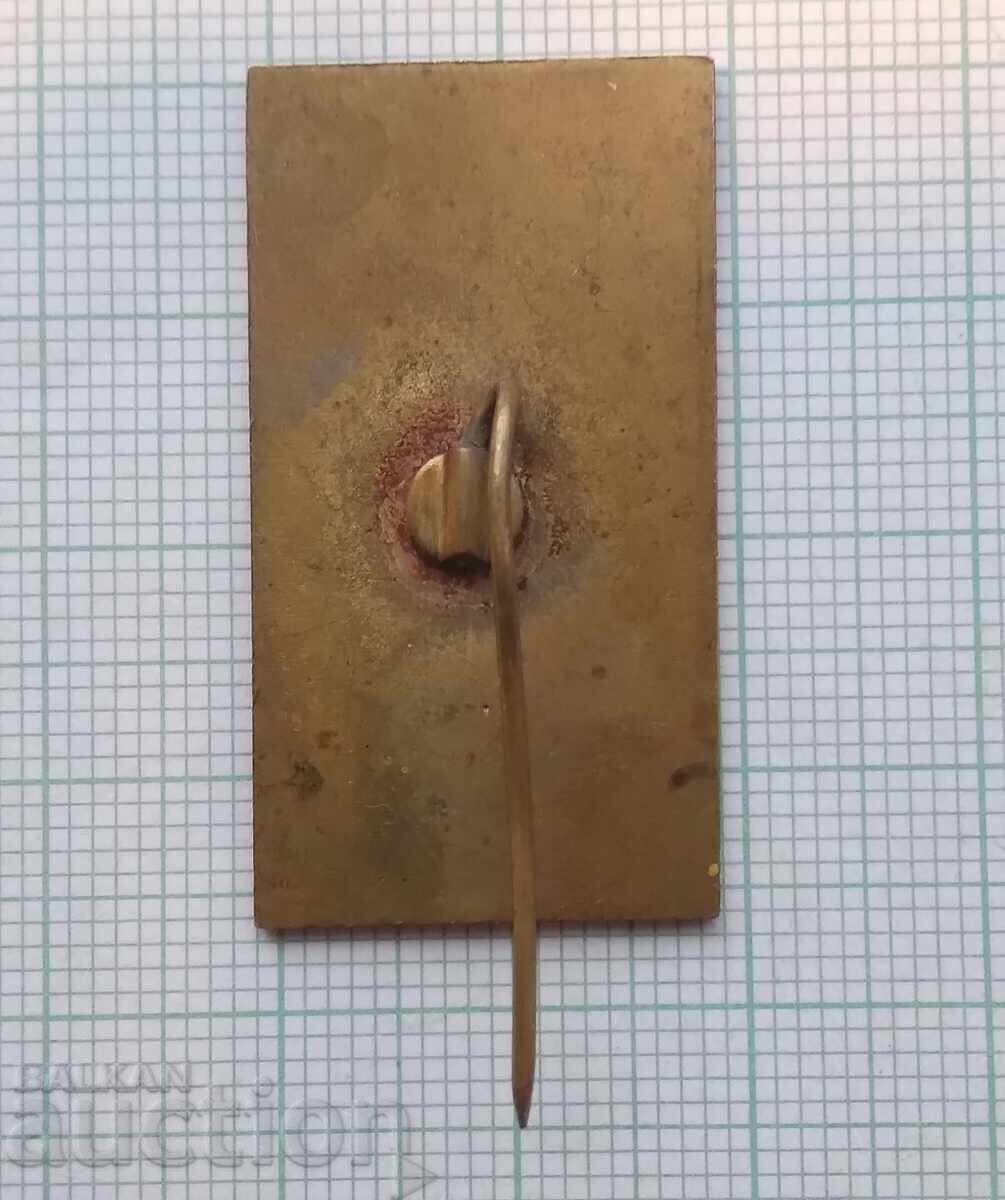 Auction  17249 Badge - Warsaw - bronze enamel