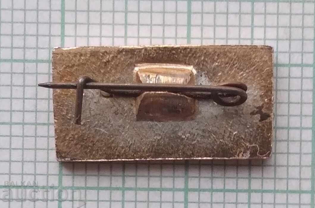 17256 Badge - flag Canada - 5 17256 Badge - flag Canada - 5