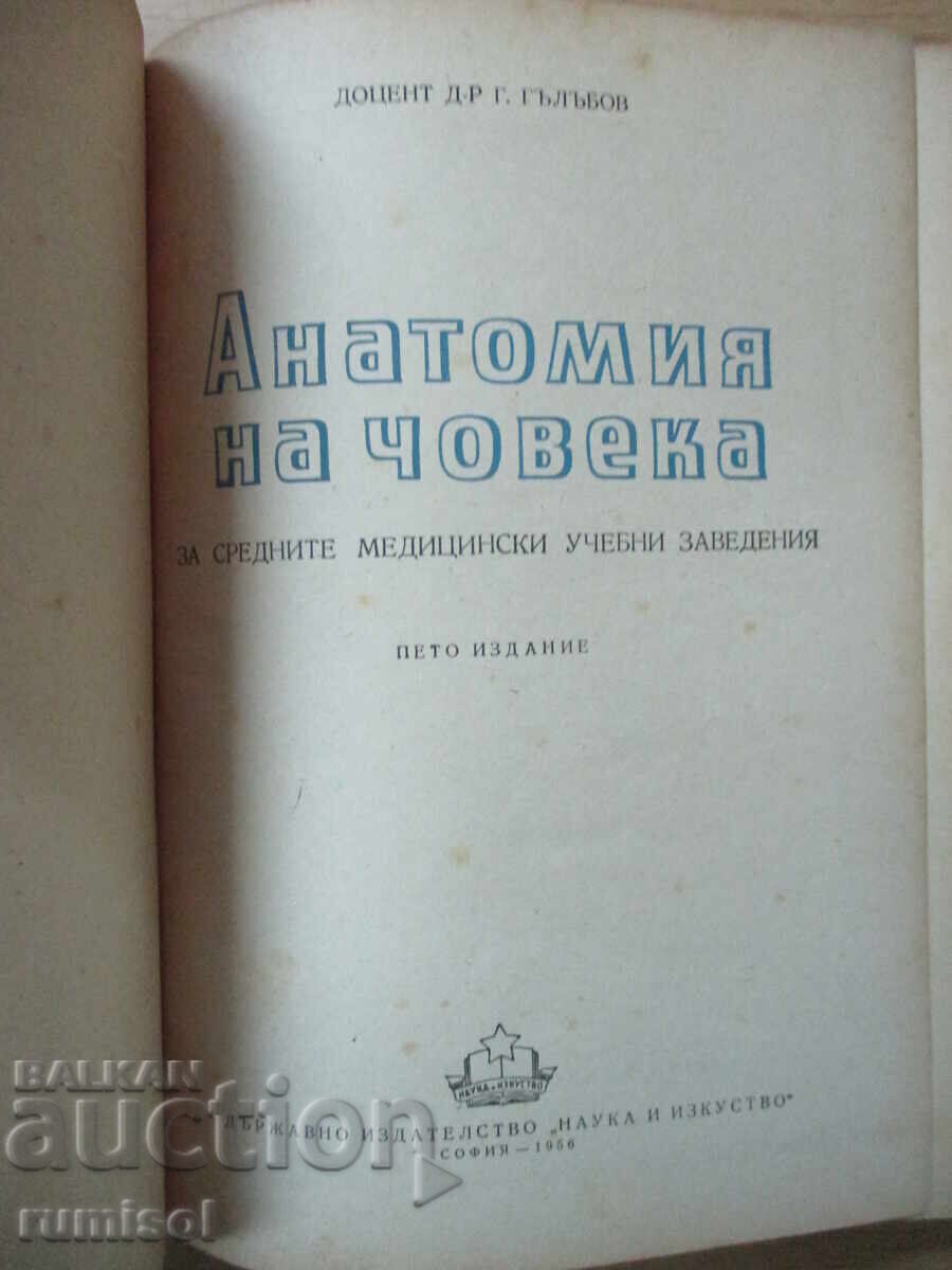 Human Anatomy - Georgi Galabov with price € 13.39 | 26.19 BGN