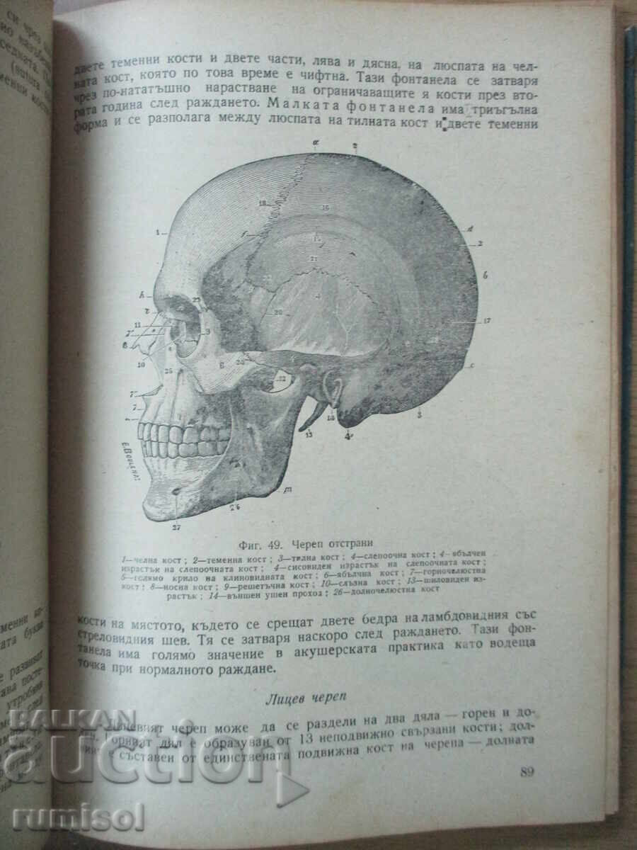 Anatomia umană - Georgi Galabov - 5