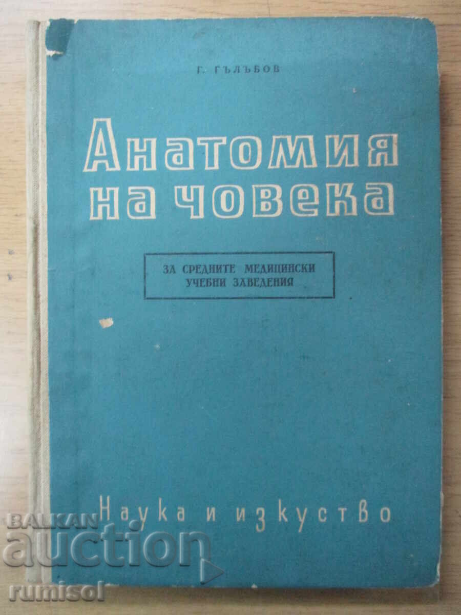 Human Anatomy - Georgi Galabov