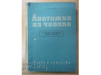 Anatomia umană - Georgi Galabov