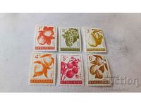 Postage stamps NRB Plodove