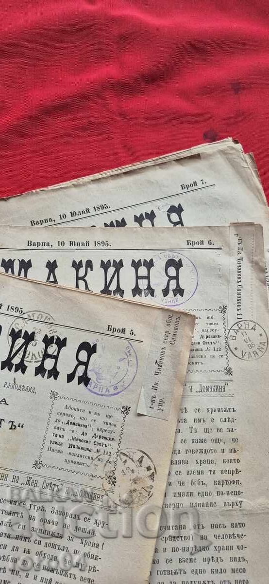 Delivery of HOUSEWIFE - VOLUME 3 - ISSUE 1 / 12 - 1895 Delivery of HOUSEWIFE - VOLUME 3 - ISSUE 1 / 12 - 1895