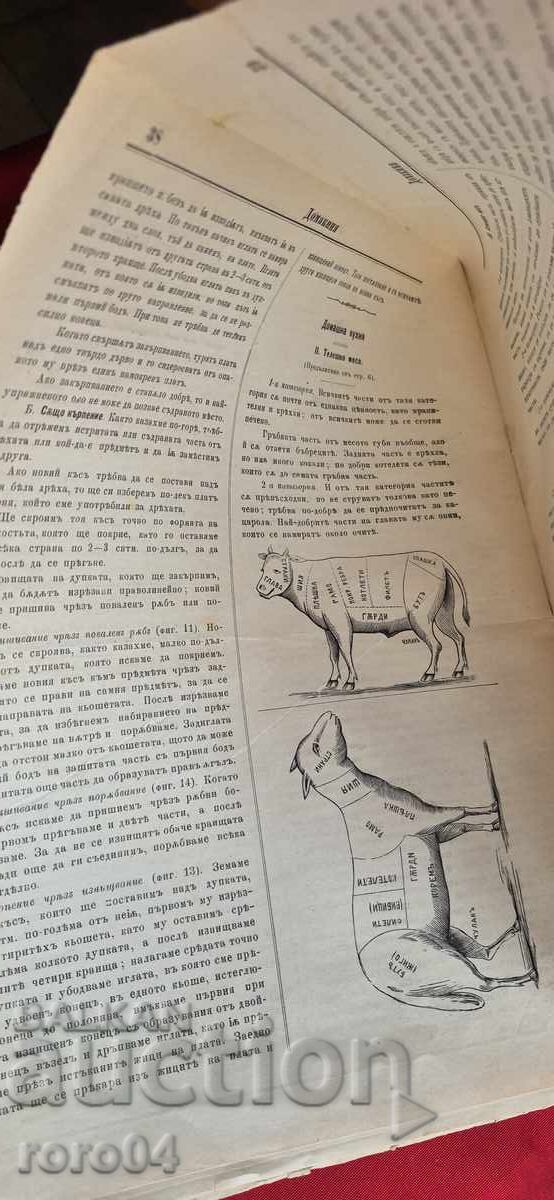 HOUSEWIFE - VOLUME 3 - ISSUE 1 / 12 - 1895 - 7 HOUSEWIFE - VOLUME 3 - ISSUE 1 / 12 - 1895 - 7