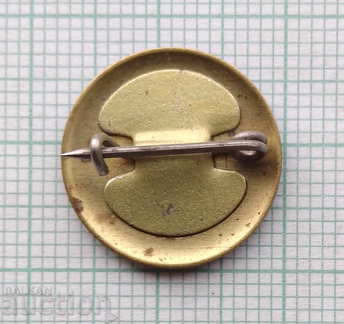 Auction 17258 Badge - BTS Conservationist Auction 17258 Badge - BTS Conservationist