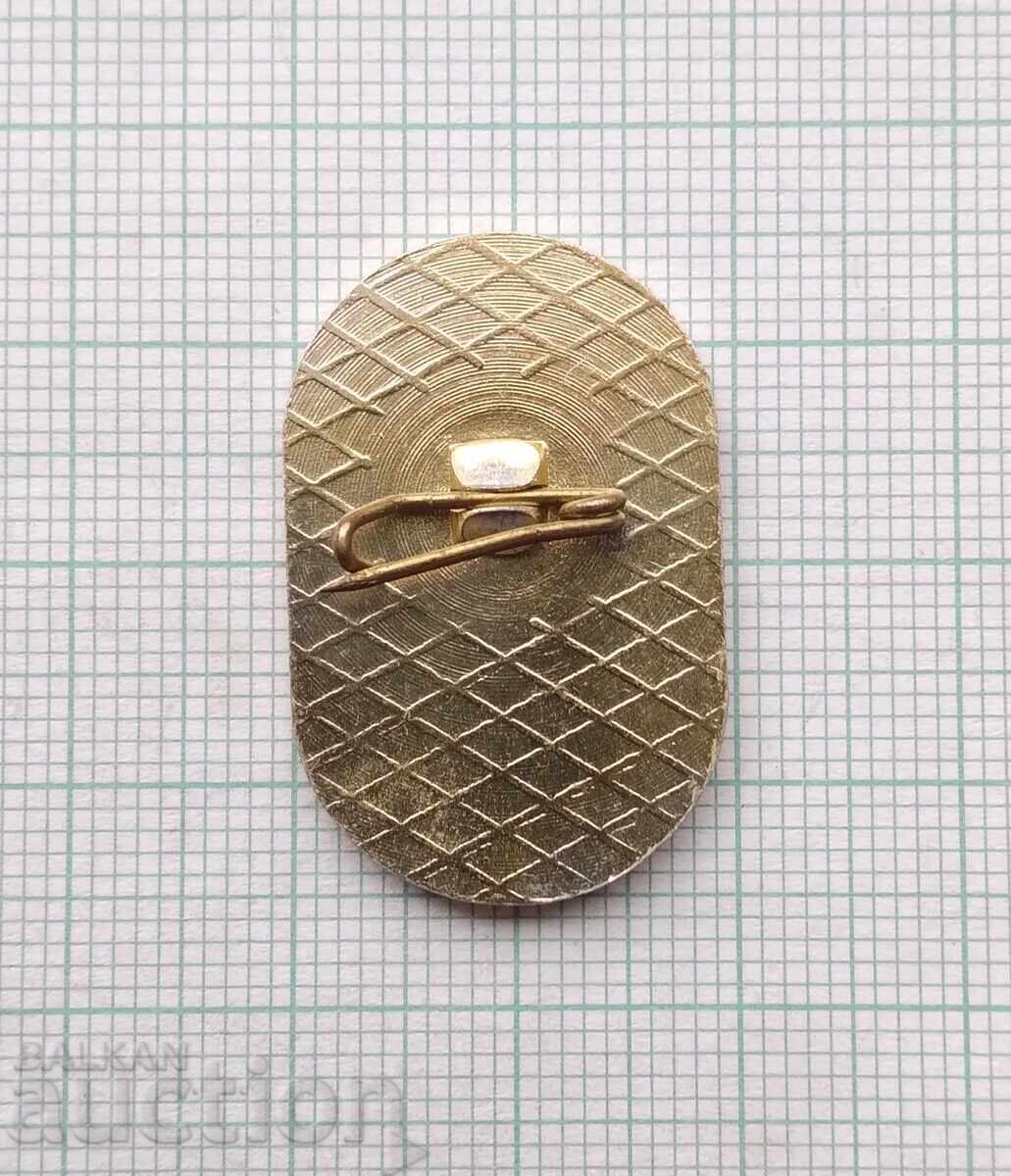 Auction  17267 Badge - 50 years of Workers' Sports