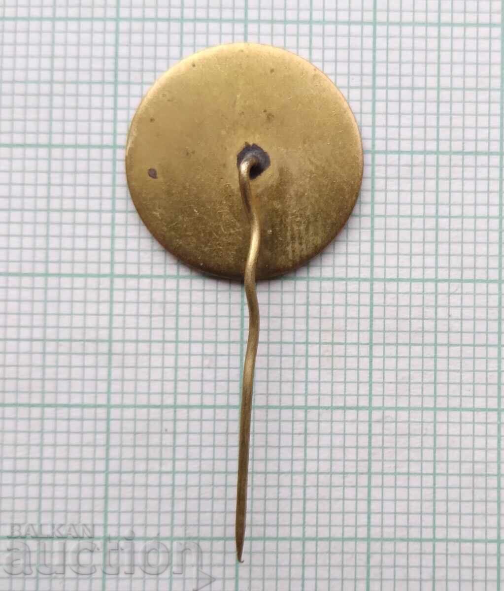 Auction 17273 Badge - Exemplary Leader SBA Auction 17273 Badge - Exemplary Leader SBA