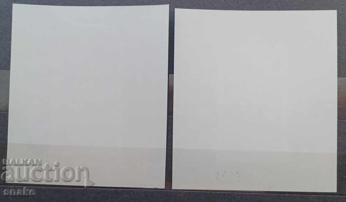 Bulgaria 1979. BC 2896 and 2897 with price 99.00 BGN | € 50.62 Bulgaria 1979. BC 2896 and 2897 with price 99.00 BGN | € 50.62