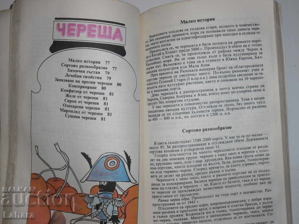 Δημοπρασία Φρούτα και λαχανικά όλες τις εποχές