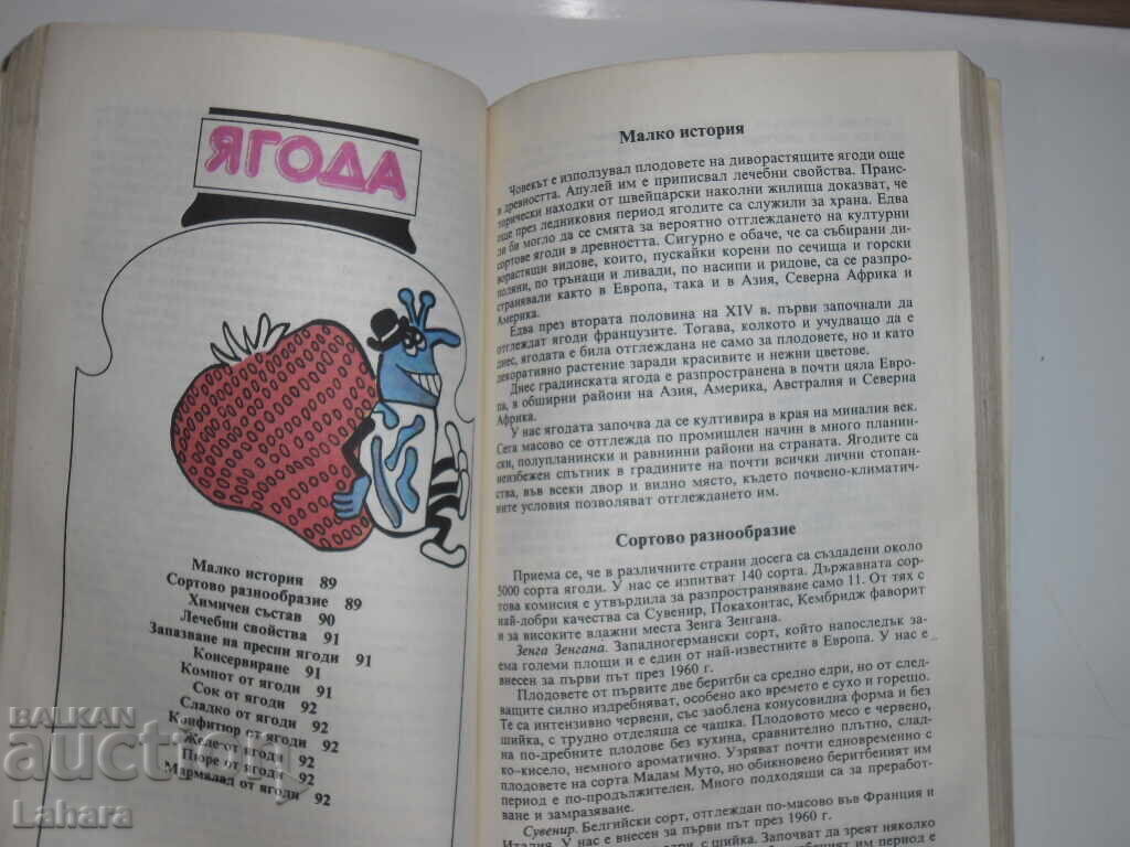 Παράδοση Φρούτα και λαχανικά όλες τις εποχές
