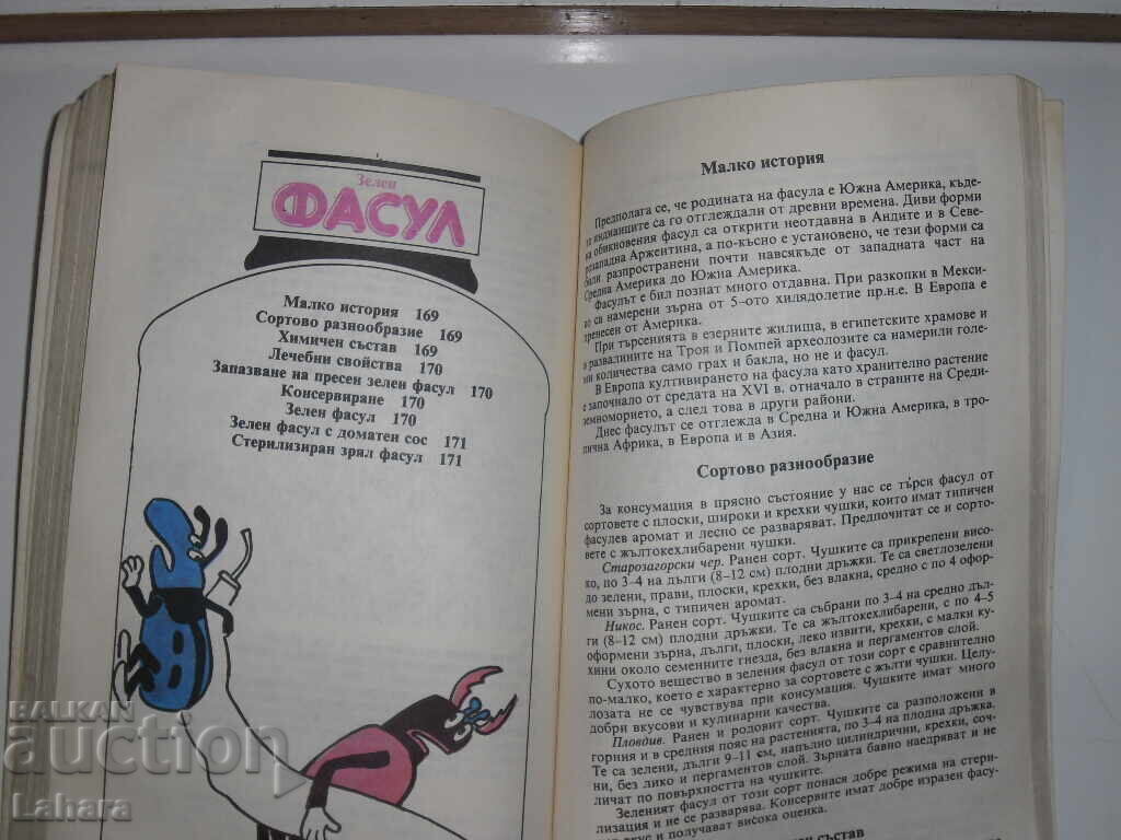 Φρούτα και λαχανικά όλες τις εποχές - 5