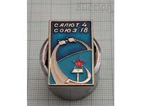 COSMOS SALUTE- 4 ALLY- 18 USSR BADGE