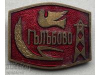 39556 Bulgaria badge coat of arms city of Galabovo enamel 60s