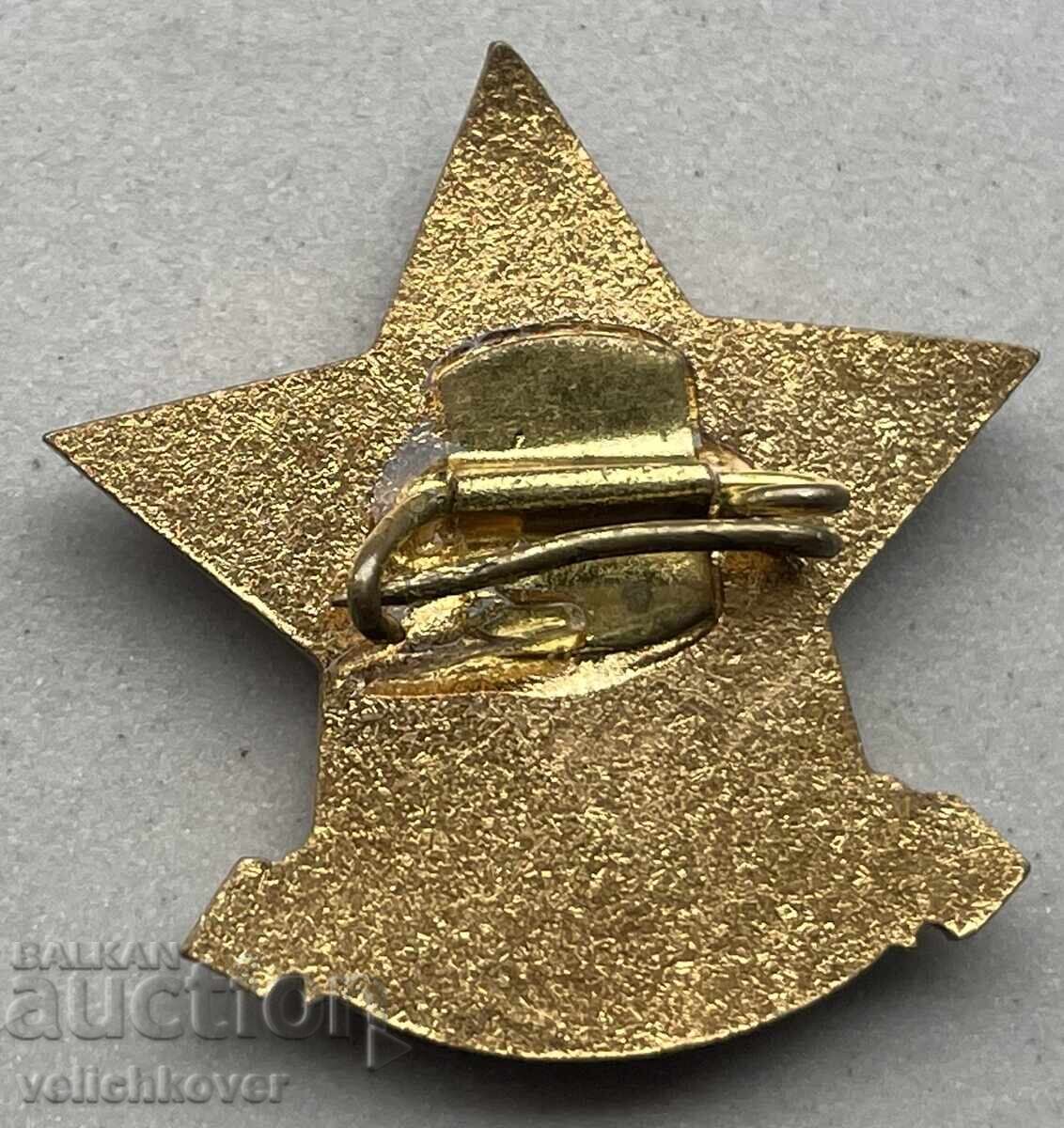 39558 Bulgaria badge Excellent Student of the Ministry of Light Industry ema with price 7.00 BGN | € 3.58 39558 Bulgaria badge Excellent Student of the Ministry of Light Industry ema with price 7.00 BGN | € 3.58