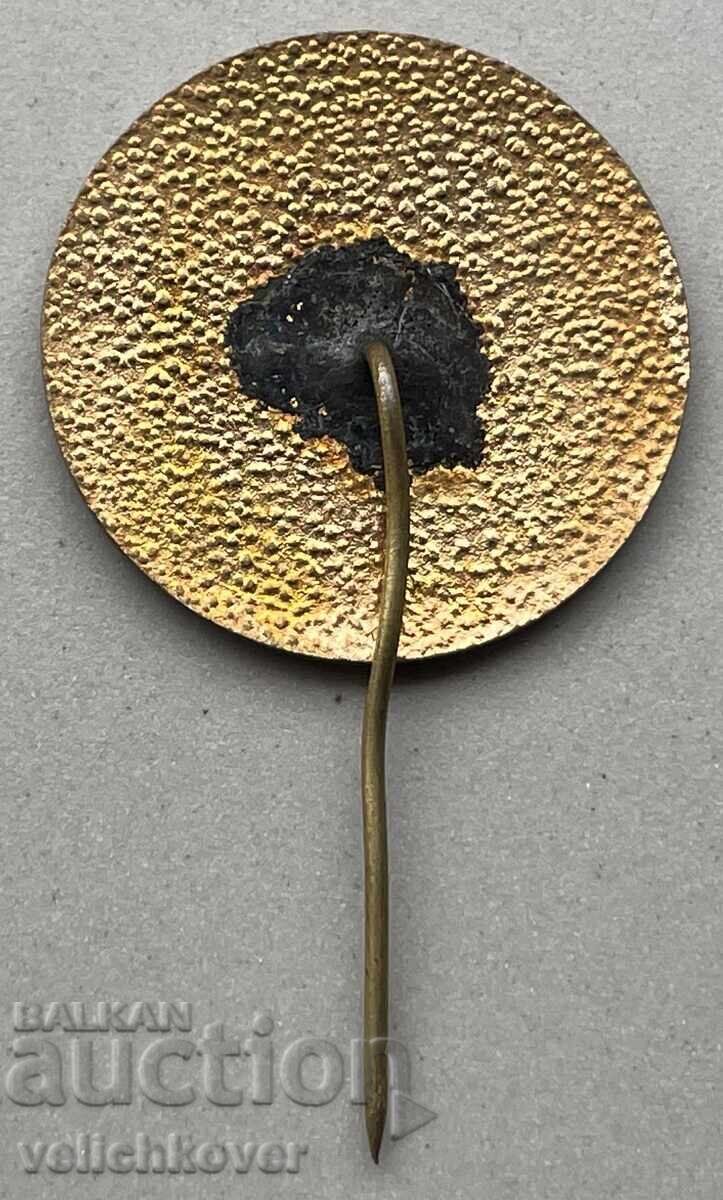 39566 Bulgaria sign 80 years Czechoslovakian club Sofia enamel with price 7.00 BGN | € 3.58