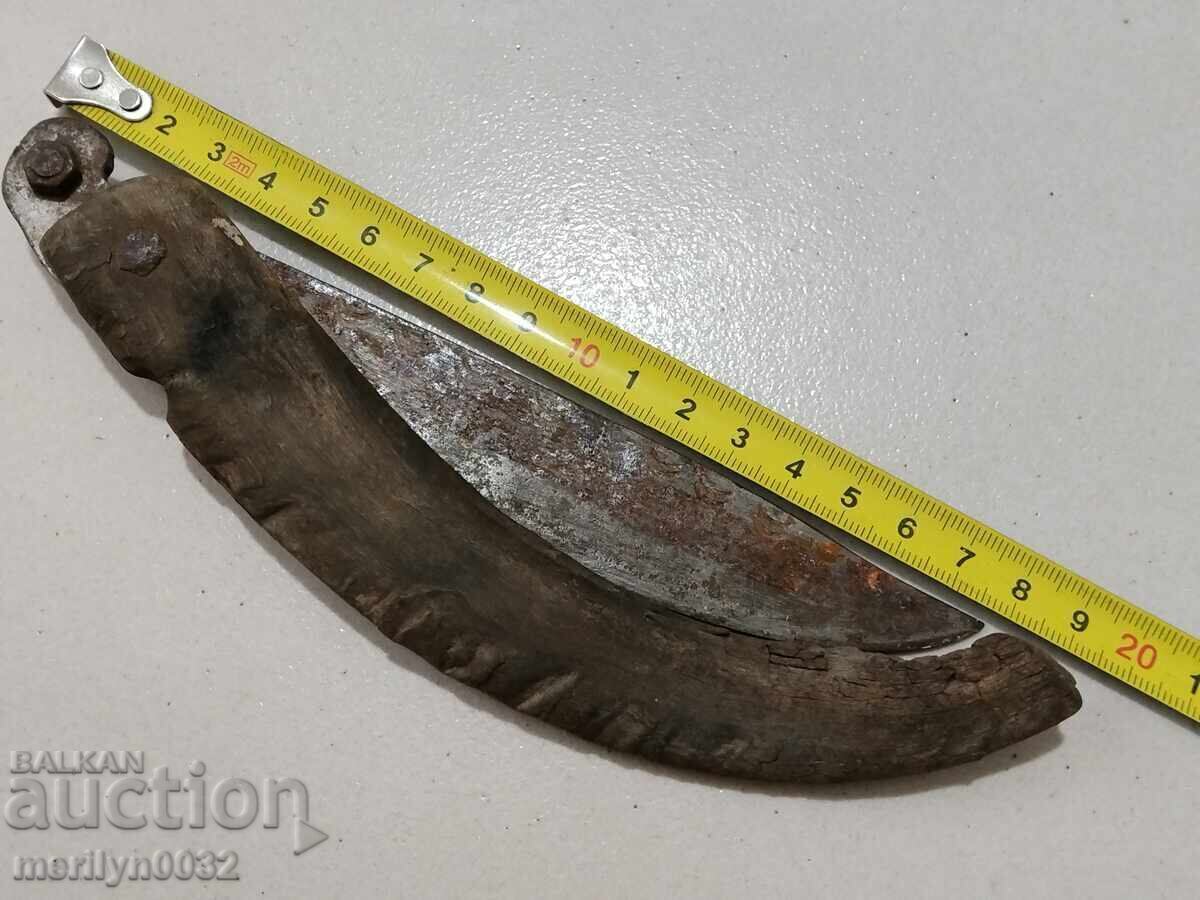 Auction  Renaissance haidushka jay leg, polished buffalo horn 28cm