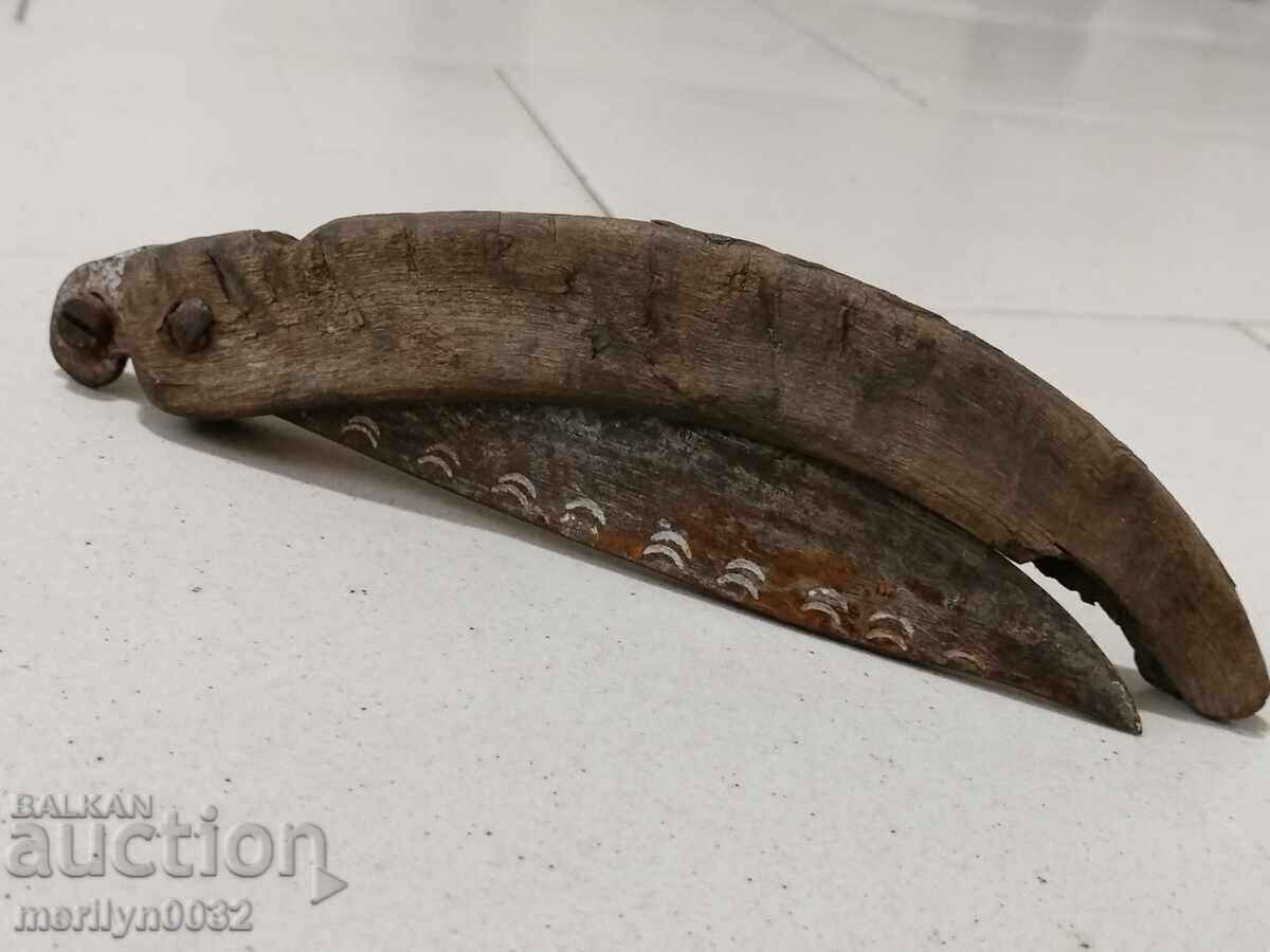 Renaissance haidushka jay leg, polished buffalo horn 28cm - 5