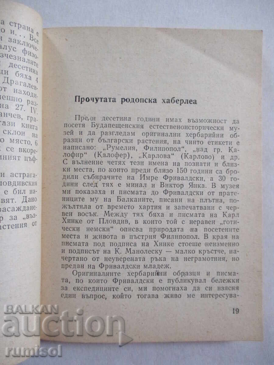 Delivery of Stars are going out in the mountains - Stefan Stanev Delivery of Stars are going out in the mountains - Stefan Stanev