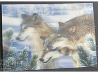 4759 Poland postcard stereo 3D wolves