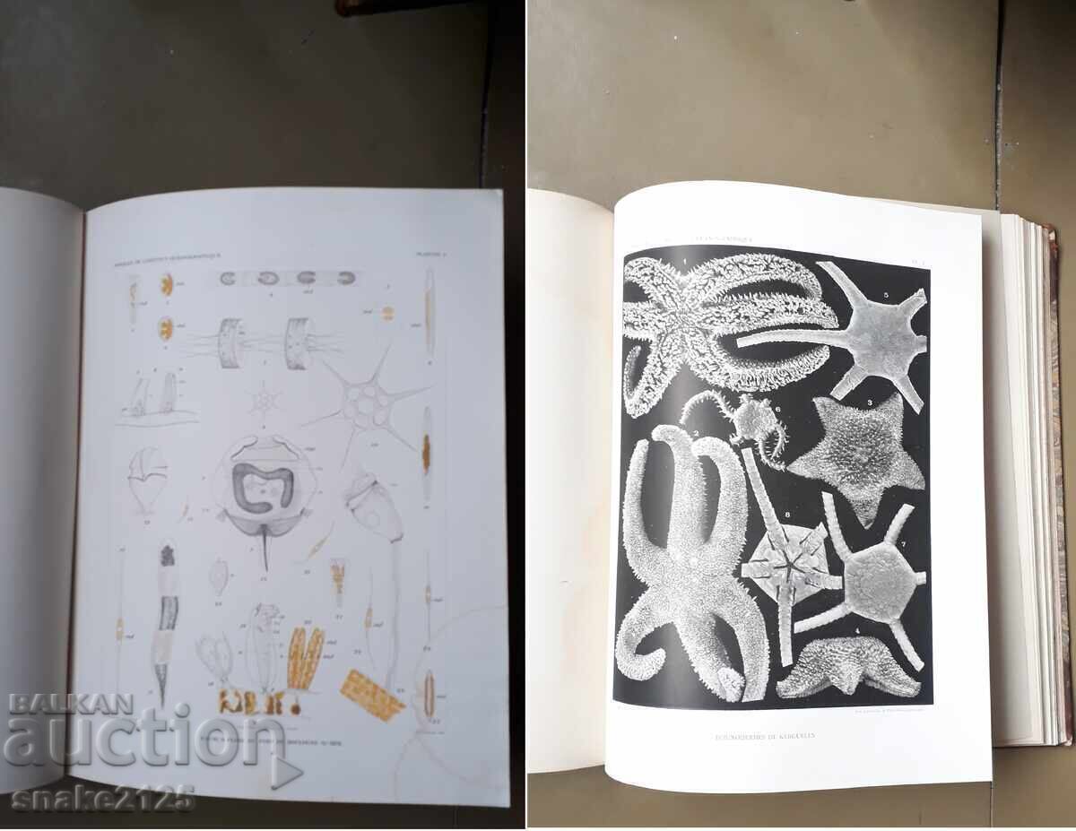 Livrarea Carte veche - Oceanografie