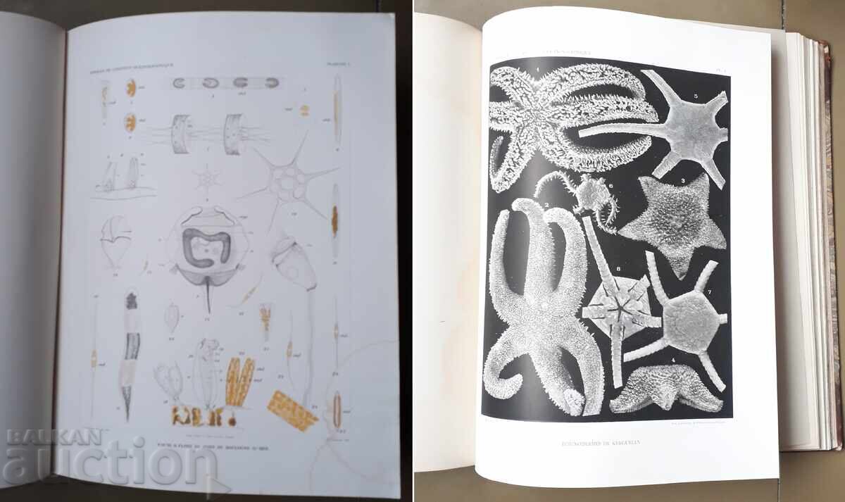 Livrarea Carte veche - Oceanografie