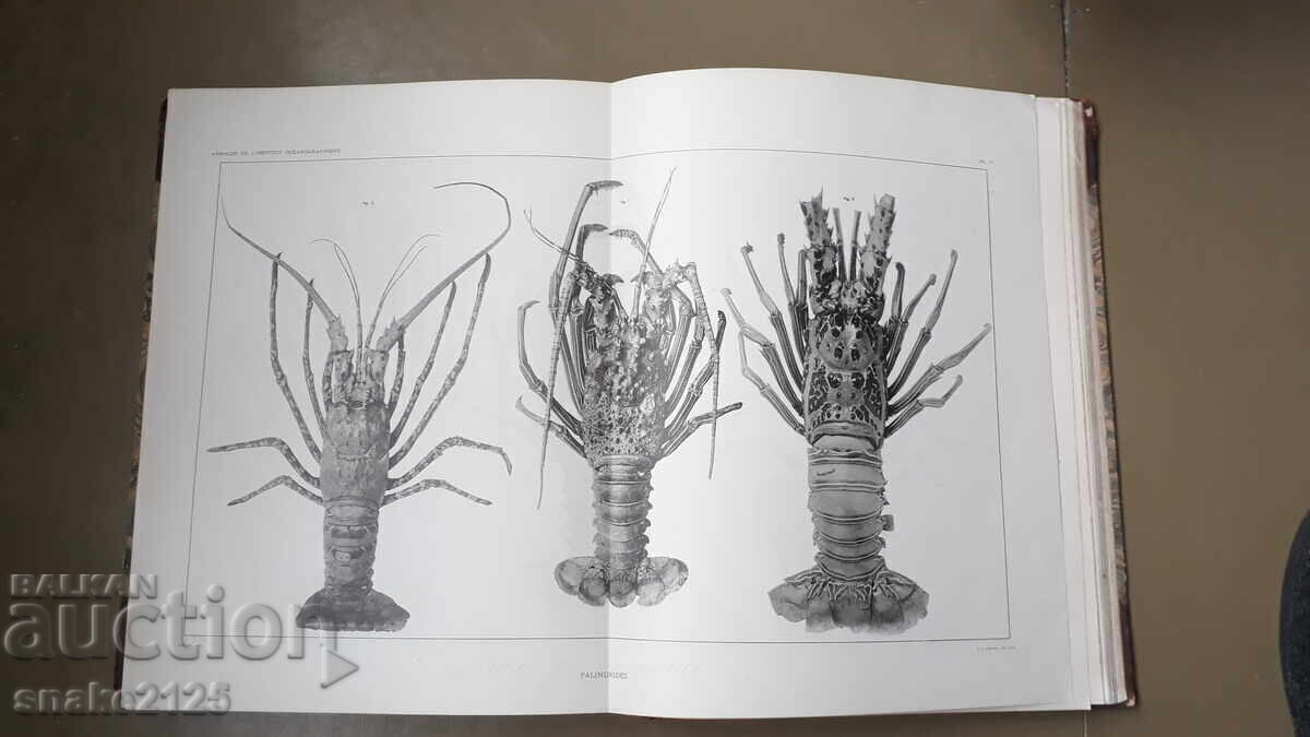 Carte veche - Oceanografie - 5